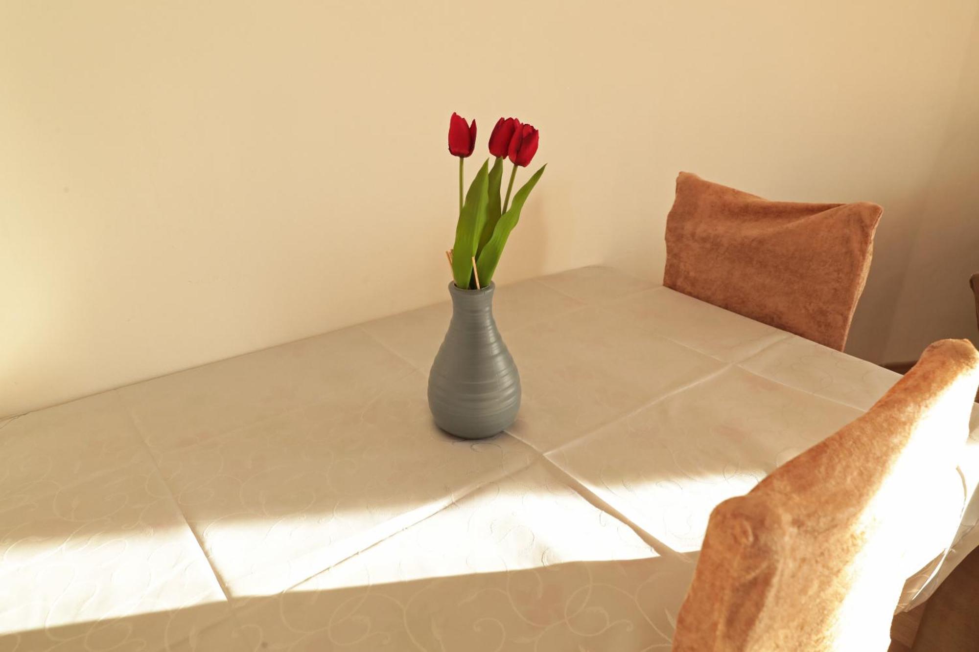 Prizren Apartment'S Dış mekan fotoğraf
